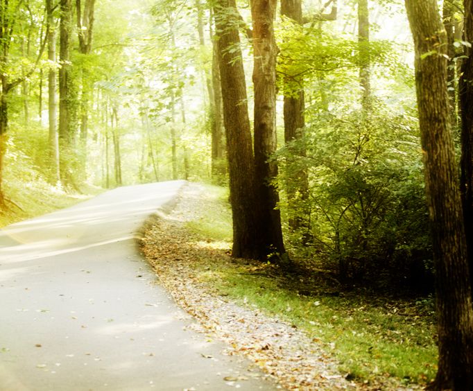 Percy Warner Park in Nashville