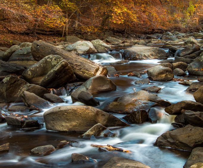 Rock Creek Park near Nashville