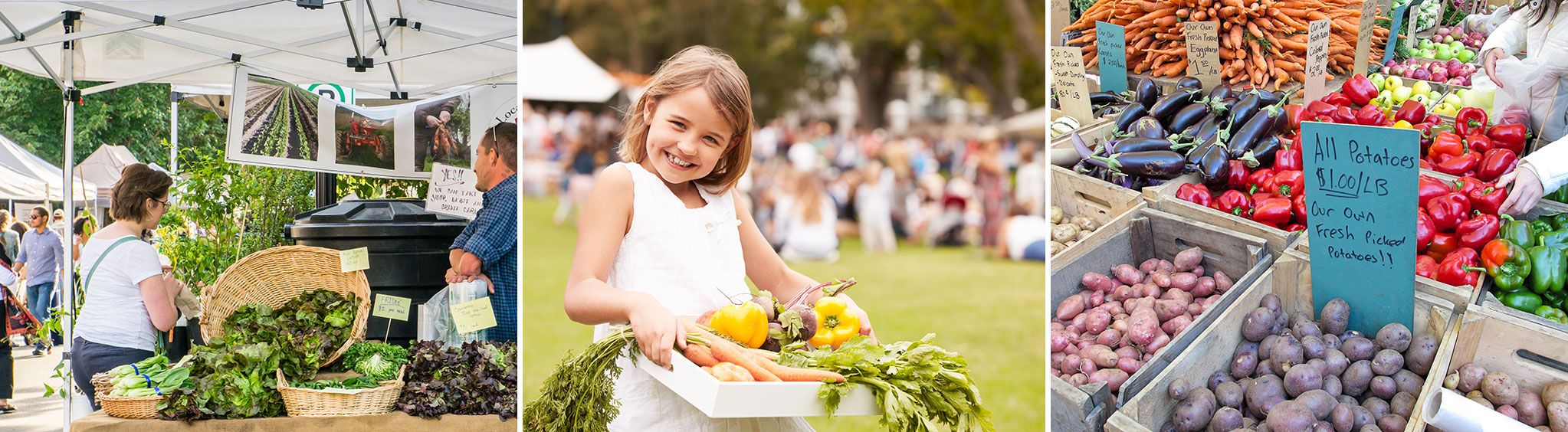 Richland Park Farmers Market in Nashville