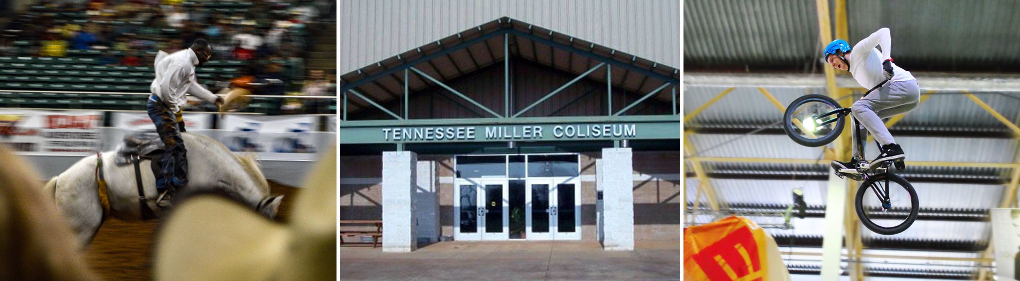 Tennessee Miller Coliseum