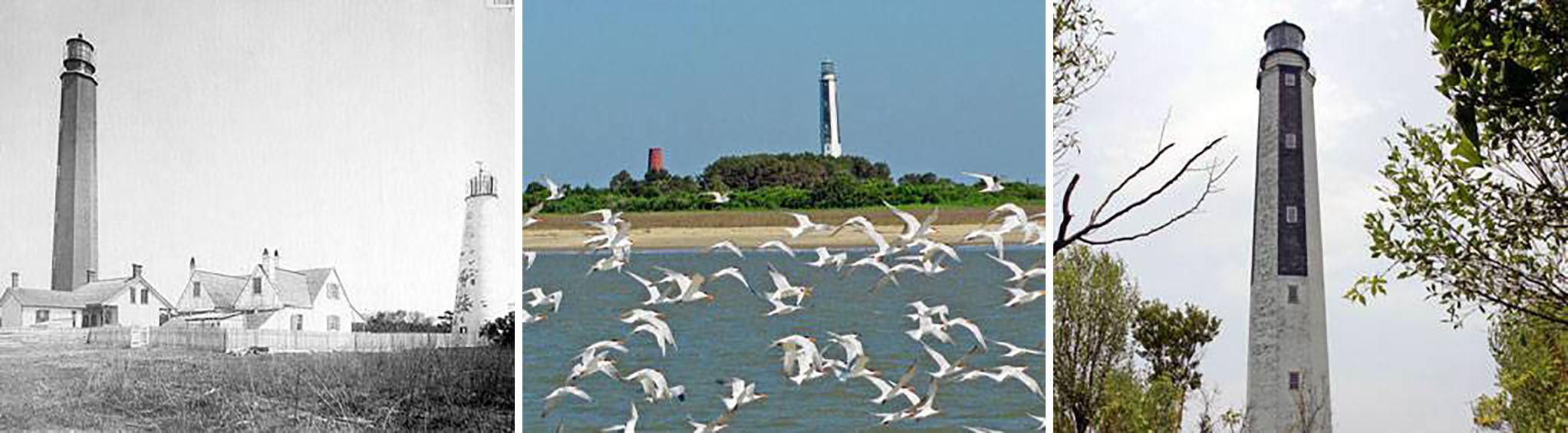 Cape Romain Lighthouses
