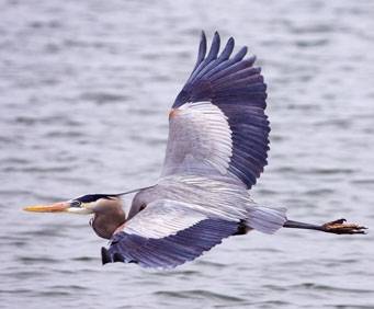 Wassaw National Wildlife Refuge near Savannah, GA