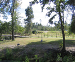 Photo Photo