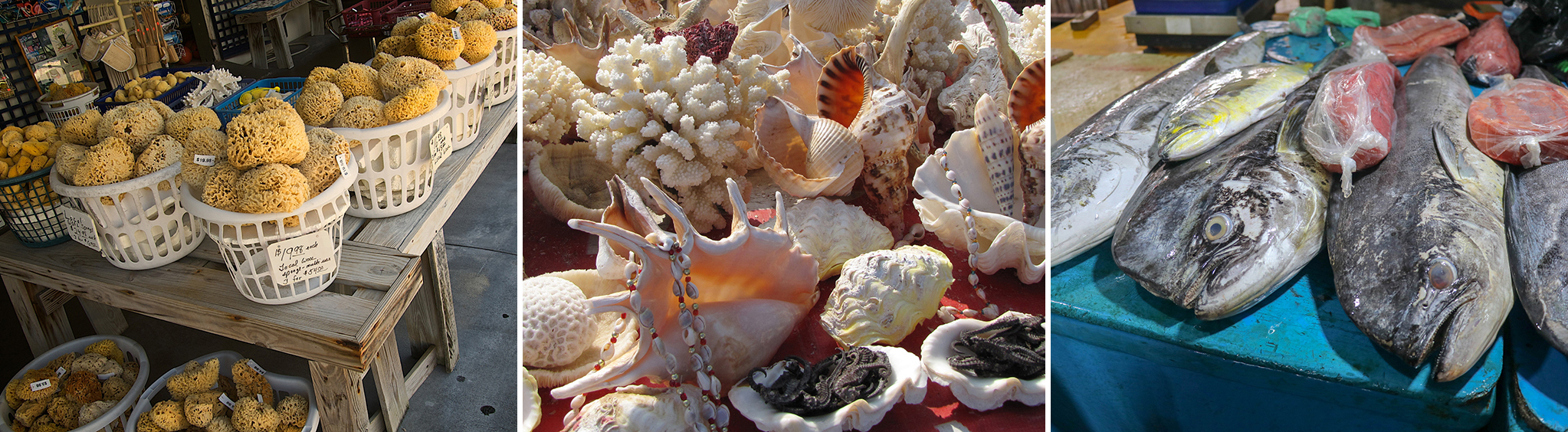 Real Estate & Developments