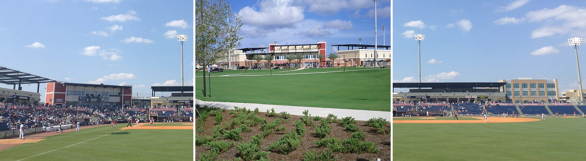 Venues & Sports Arenas