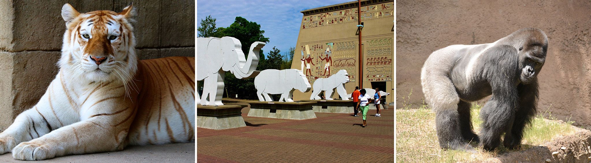 Memphis Zoo