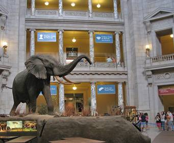 Smithsonian Institution Information Center in Washington, DC, museum