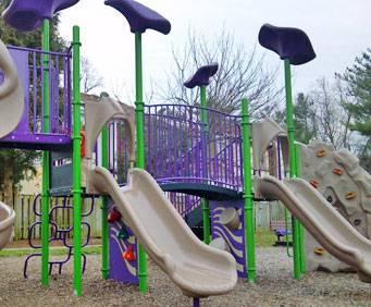 Rosedale Park 