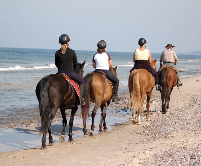 Shenandoah Les Horseback Riding Near Daytona Beach Fl