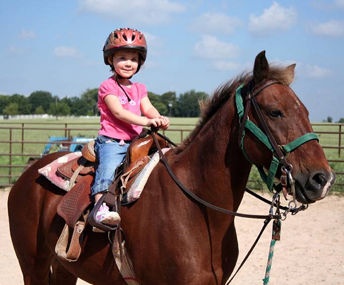 Shenandoah Les Horseback Riding Near Daytona Beach Fl