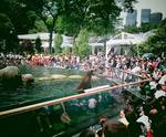 Seal show Seal show