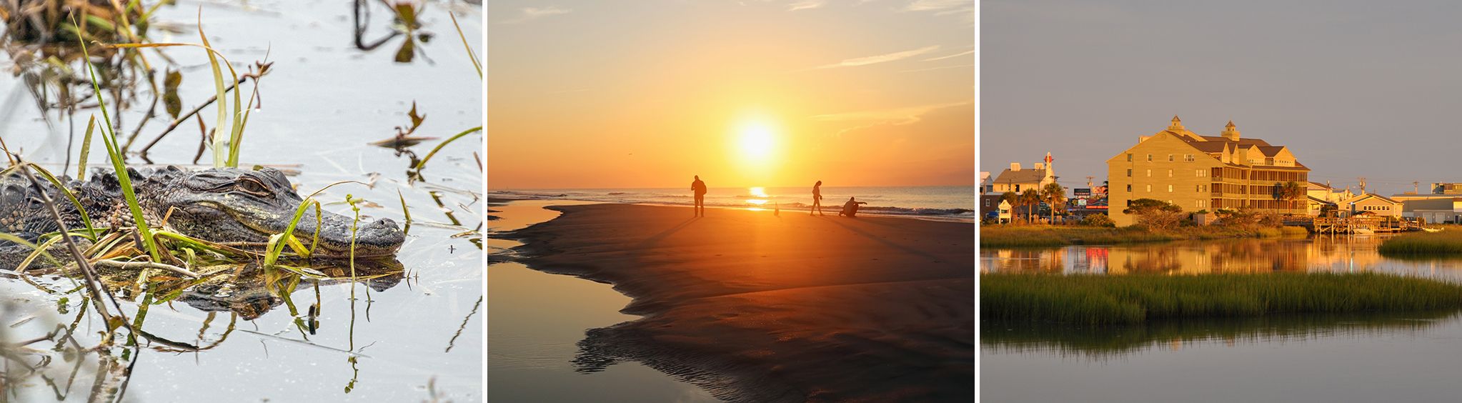 Huntington Beach State Park