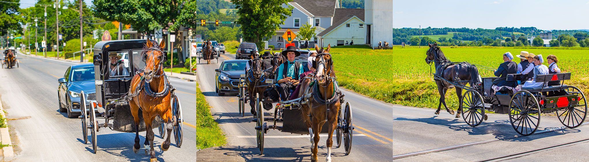 Gillingham Horse Drawn Carriage Company