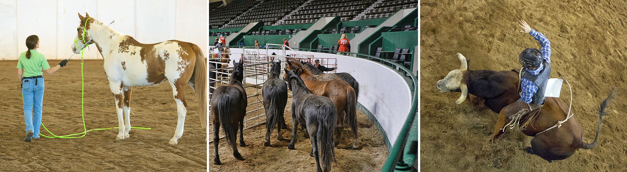 Agricenter Show Place Arena