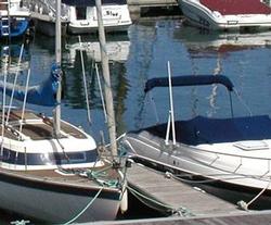 Boats at the dog