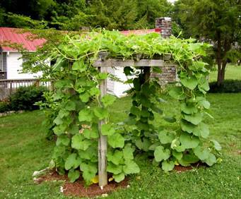Ellington Agricultural Center near Nashville, TN