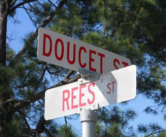 Intersection of Doucet and Rees