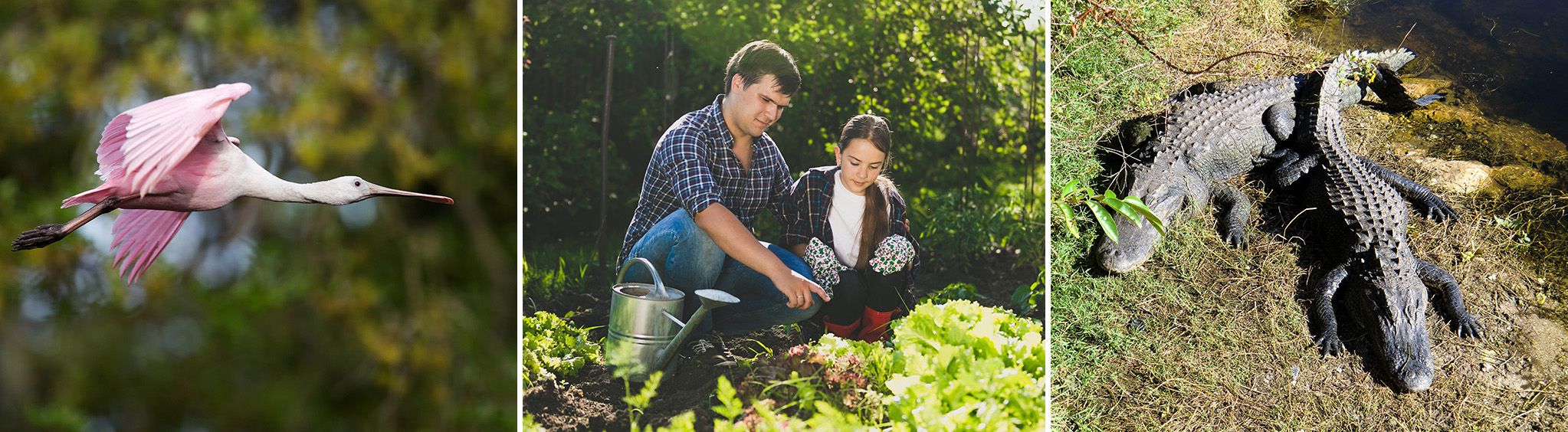 St. Johns County Agricultural Center