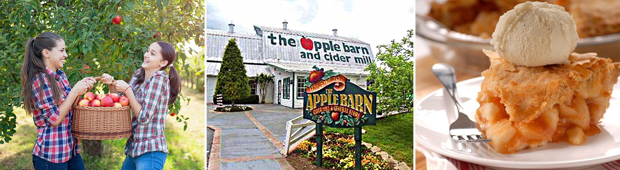Apple Barn Cider Mill & General Store