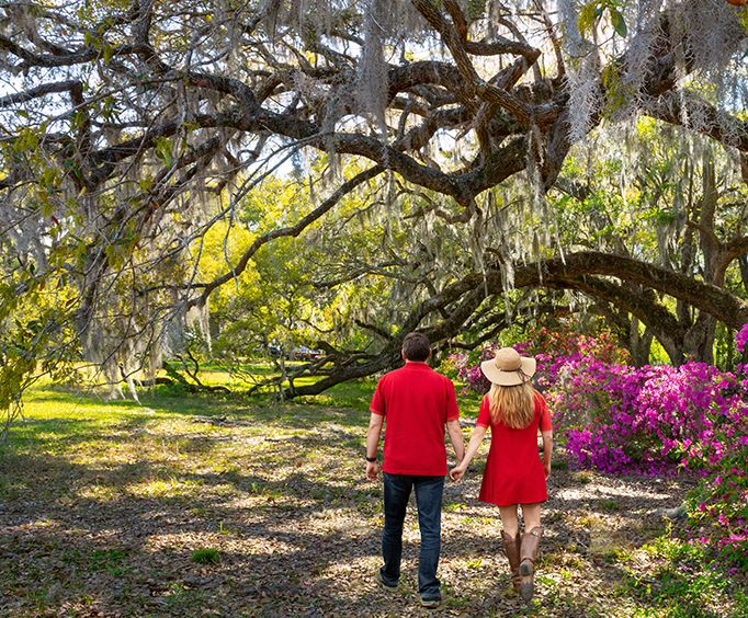 Savannah Romantic Getaway Package