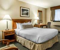Inn Of Chicago Room Photos