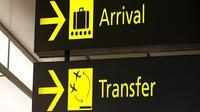 Arrival Transfer