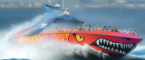 CodZilla Speedboat Adventure Tour, speed ride