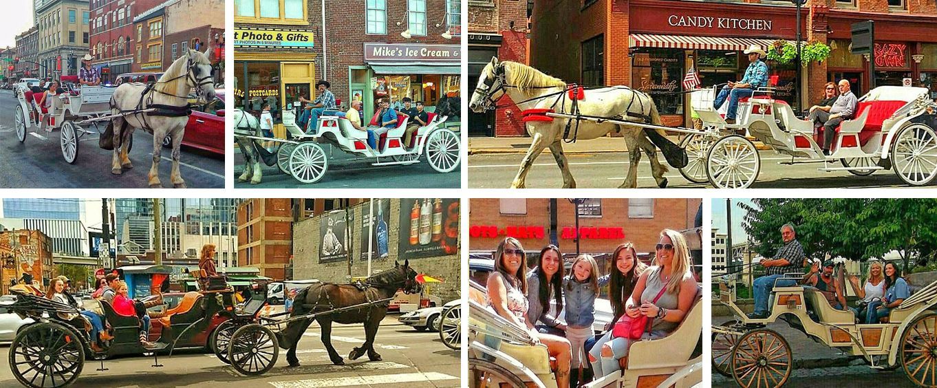 20 Minute Downtown Carriage Tour Collage