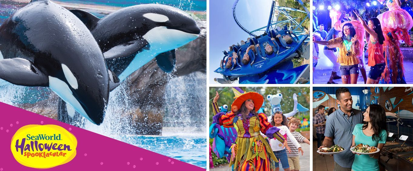 Halloween at SeaWorld Orlando