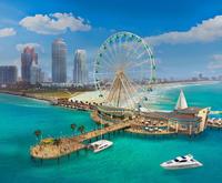 Ferris Wheel on the Miami Sightseeing Tours from Orlando