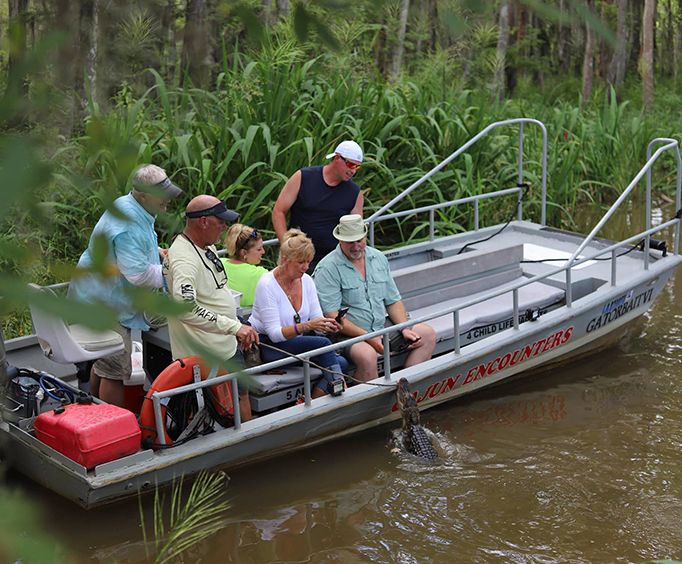 Small Boat and Alligator on the Honey Island Swamp Tour