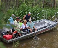 Feeding a Giant Alligator on the Honey Island Swamp Tour