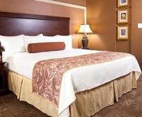 Room Photo for Best Western French Quarter Landmark Hotel