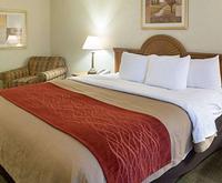 Photo of Comfort Inn Marrero Room