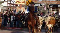 Fort Worth