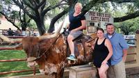 Get a photo on a longhorn