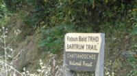 Experience Bartrum Trail in Clayton Georgia!