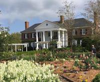 Boone Hall Plantation Bus Tour
