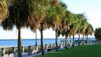 Explore the Holy City of Charleston