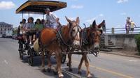 Enjoy a carriage ride through historic Charleston