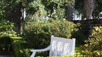 Charleston's alleys and hidden passages!