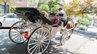 Enjoy the history of Charleston