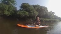Searching for wildlife by Paddleboard!