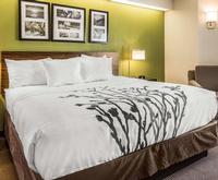 Room Photo for Sleep Inn- Charleston, S.C.