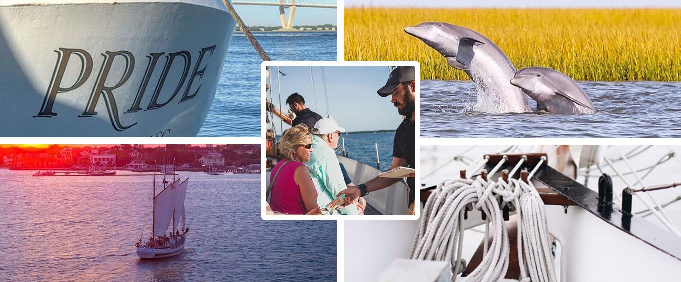 Experience the Charleston Dolphin Cruise Aboard the Schooner Pride