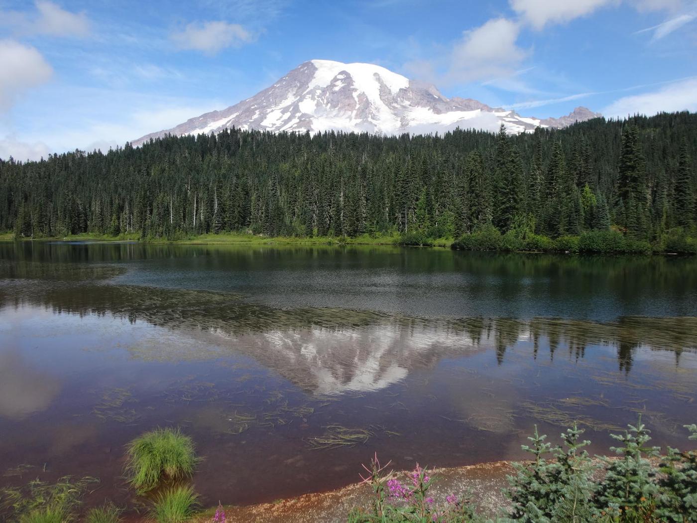 Enjoy views of Mt Rainier on a small-group hiking or snowshoeing tour from Seattle.