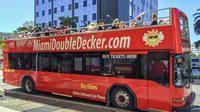 Miami Sightseeing Bus Tour of Miami
