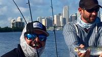Miami Inshore Fishing Trip