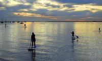 Paddle Boarding