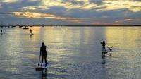 Paddle Boarding